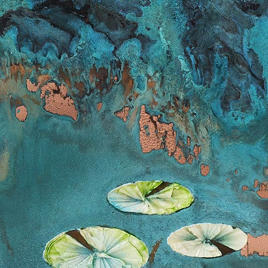 Lilies of the Mill-Pond