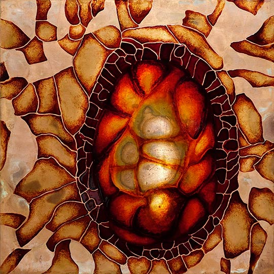 Seed